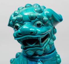 Chinese Large Turquoise Foo Dog - 267277