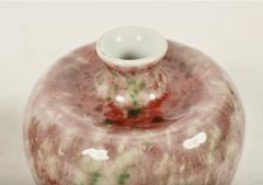 Chinese Peach Bloom Water Jug - 4331912