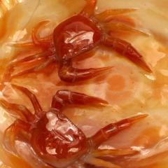 Chinese Rust Agate Carved Bowl - 4519618