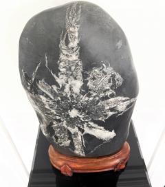 Chinese Scholar Rock Chrysanthemum Stone - 2288035