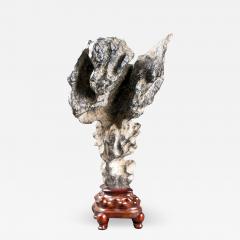 Chinese Scholar Rock Yingde Stone on Display Stand - 1902111