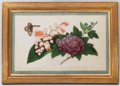 Chinese School CHINESE EXPORT WATERCOLOURS ON PITH PAPER Group of 12 flowers and insects  - 3444703