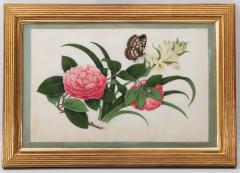 Chinese School CHINESE EXPORT WATERCOLOURS ON PITH PAPER Group of 12 flowers and insects  - 3444705