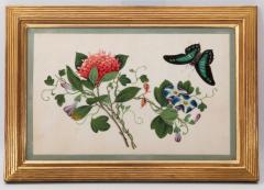 Chinese School CHINESE EXPORT WATERCOLOURS ON PITH PAPER Group of 12 flowers and insects  - 3444706