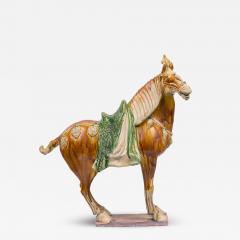 Chinese Tang Dynasty Style Sancai Glazed Terra Cotta Horse Tomb Figure - 4412509