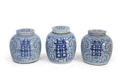 Chinese White and Blue Character Lidded Ginger Jar Vases - 4672360