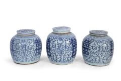 Chinese White and Blue Character Lidded Ginger Jar Vases - 4672361