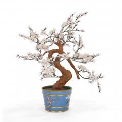 Chinese hardstone model of cherry blossom in a cloisonn enamel planter - 3702254