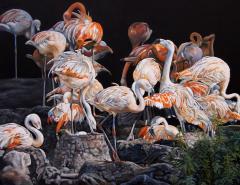 Christine Pultz Concerto di Fenicotteri - 4402642