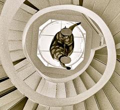 Christophe Von Hohenberg Museum de Arte Popular print ED 1 6 of Staircase by Christophe von Hohenberg - 4154872