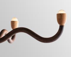 Christopher Miano The Sguiggle Chandelier - 3363812