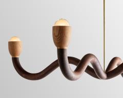 Christopher Miano The Sguiggle Chandelier - 3363813