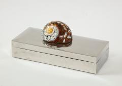 Chrome Box with Nautilus Shell - 1831133