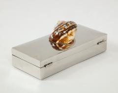 Chrome Box with Nautilus Shell - 1831136