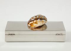 Chrome Box with Nautilus Shell - 1831137