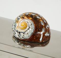 Chrome Box with Nautilus Shell - 1831139