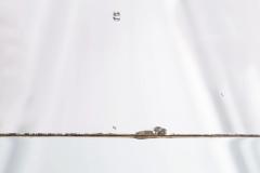 Circa 1760 Italian Rococo Giltwood Wall Mirror probably Milan 71 H x 56 W - 4501792