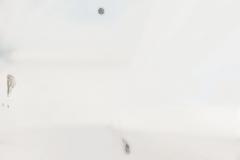 Circa 1760 Italian Rococo Giltwood Wall Mirror probably Milan 71 H x 56 W - 4501794