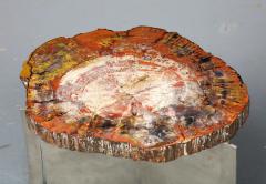 Claude De Muzac Rare Petrified Wood and Steel Side Table by Sculptor Claude De Muzac France - 3314305