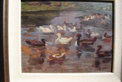 Clovis Terraire Clovis Terraire Ducks on a Pond - 1195346