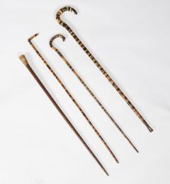 Collection of 19th c Horn Walking Sticks - 4480241