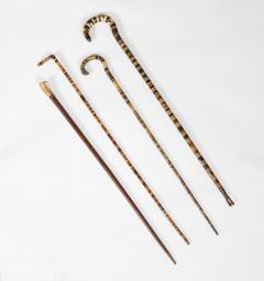 Collection of 19th c Horn Walking Sticks - 4480251