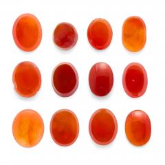 Collection of Carnelian Intaglios Depicting Classical Portraits - 4744517