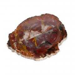 Collection of rock specimens - 3318792