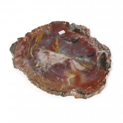 Collection of rock specimens - 3318801