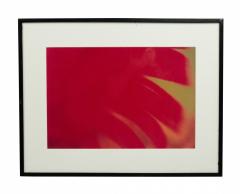 Color Photograph Detail Of A Red Flower - 3185005