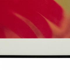 Color Photograph Detail Of A Red Flower - 3185007