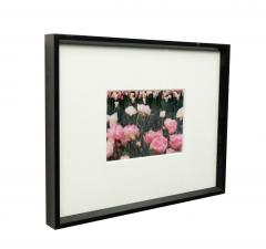 Color Photograph of Pink Flowers - 4514611