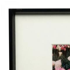 Color Photograph of Pink Flowers - 4514613