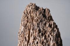 Colossal Tree Trunk Sculpture Africa 20th century - 2023967