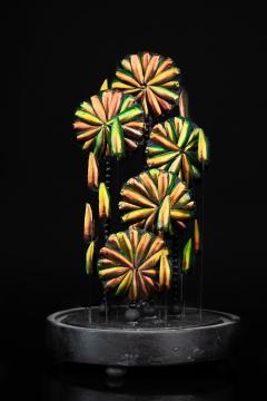 Composition of Feathers and Butterflies under an Oval dome  - 1927321