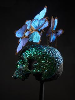 Composition of a Plaster Skull decorated with Butterflies - 1914999