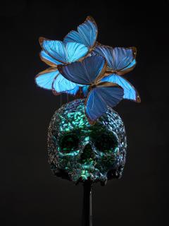 Composition of a Plaster Skull decorated with Butterflies - 1915006