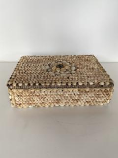 Contemporary American Modern Conch and Cowrie Seashell Jewelry Box - 4197265