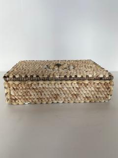 Contemporary American Modern Conch and Cowrie Seashell Jewelry Box - 4197267