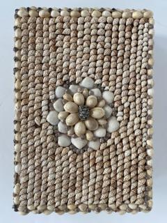 Contemporary American Modern Conch and Cowrie Seashell Jewelry Box - 4197269