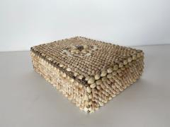 Contemporary American Modern Conch and Cowrie Seashell Jewelry Box - 4197270