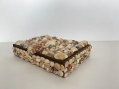 Contemporary American Modern Large Seashell Box - 4197413