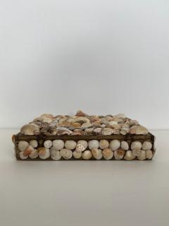 Contemporary American Modern Large Seashell Box - 4197418