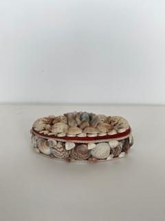 Contemporary American Modern Oval Seashell Jewelry Box - 4195482
