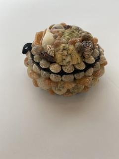 Contemporary American Modern Small Circular Seashell Jewelry Box - 4195489