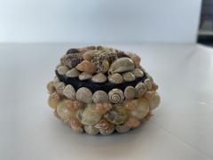 Contemporary American Modern Small Circular Seashell Jewelry Box - 4195491