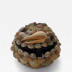 Contemporary American Modern Small Circular Seashell Jewelry Box - 4211679