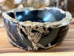 Contemporary Black Beige Petrified Wooden Sink Polished IDN 2025 - 4318005