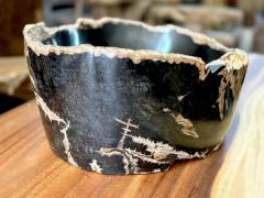 Contemporary Black Beige Petrified Wooden Sink Polished IDN 2025 - 4318008