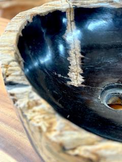 Contemporary Black Beige Petrified Wooden Sink Polished IDN 2025 - 4318009